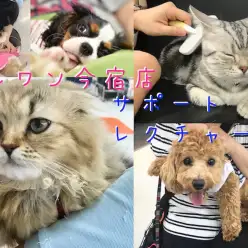 【 今宿店 サポート案内 】目指せお手入れマスター！卒業生サポート風景を大公開！