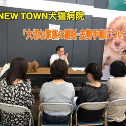 【 イベント 】NEW TOWN犬猫病院「大切な家族の避妊・去勢手術」について