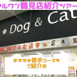 【 マルワン鶴見店紹介ツアー 】おすすめの散歩コースもご紹介!!