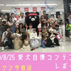 【 愛犬自慢コンテスト 】2019年のスーパーモデルの栄冠は誰の手に！？