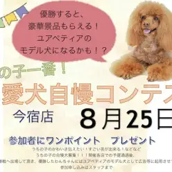 【 2019最大のイベント 】スーパーモデルになれるチャンス！愛犬自慢コンテスト！