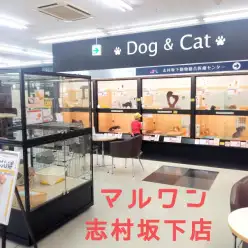 【 店舗紹介 】東京・板橋区のオリンピック志村坂下店は魅力がいっぱい！！