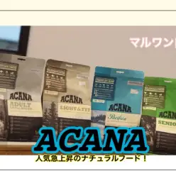 【 商品紹介 】ナチュラルフードとして人気急上昇のACANAをご紹介！