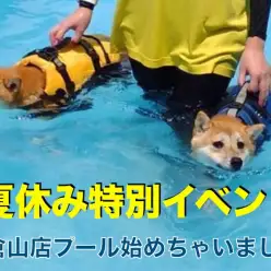 【 大倉山店夏休みイベント 】思い出を作ろうプール始めちゃいました!