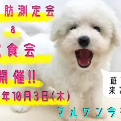 【 今宿店 イベント情報 】ワンちゃんの体脂肪計測会＆試食会のご案内！