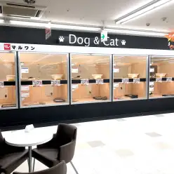 【 新店舗紹介 】10/4マルワン19番目の店舗！マルワン東川口店オープン！！