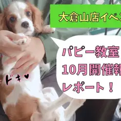 【 大倉山店イベント 】パピー教室10月開催報告レポート！