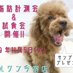 【 今宿店イベント 】11/5ワンコの体脂肪計測会＆フードサンプル試食会！