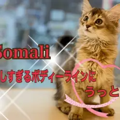 【 ソマリ 】美しすぎるボディーラインにうっとり♡