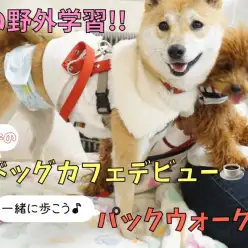 【 初の野外学習 】大倉山の仲間たちとカフェデビュー大作戦！