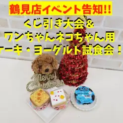 【 鶴見店イベント 】くじ引き大会＆ワンニャン用ケーキ・ヨーグルト試食会！