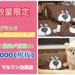 【 数量限定 】有名ブランドBEACHE HOLICより福袋が登場！