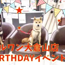 祝！!マルワン大倉山店7歳のお誕生日！感謝を込めて撮影会イベント開催！