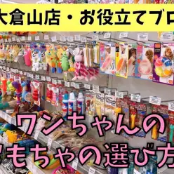 【 犬のおもちゃ 】パピー期の甘噛み抑止やスキンシップ等、シーン別のおもちゃ選び
