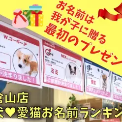 【 大倉山店愛犬・愛猫名前ランキング 】お名前は我が子に贈る最初のプレゼント！