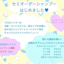 【 元町トリミング 】セミオーダーシャンプー始めました！