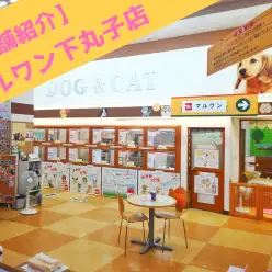 【 店舗紹介 】都内ホームセンターに癒しの空間☆大注目のマルワン下丸子店！