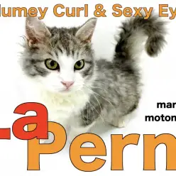 【 ラパーマ 】セカンドレビュー!大変身した男前なゴージャスキャット!