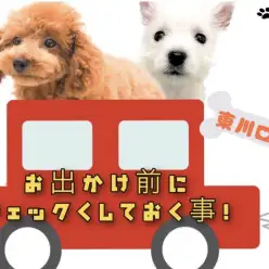 【 愛犬とおでかけ 】お出かけする前のチェック事項とドライブを楽しむためのコツ