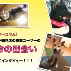 【 ユーザーコラム 】鶴見店の先輩ユーザーに運命の出会いについてインタビュー！