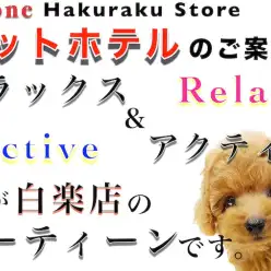 【 サービス紹介 】白楽店のペットホテルはリラックス＆アクティブがモットー！