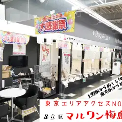【 店舗紹介 】マルワン東京エリアで一番アクセスがいい店舗！ マルワン梅島店