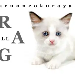 【 ラグドール 】背中の模様がチャームポイント！アクアマリンの瞳の美猫！