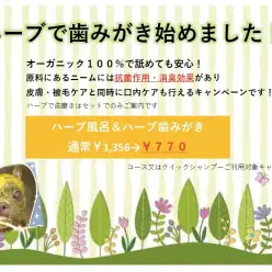 【 元町トリミングサロン 】今だけお試し価格!ハーブの歯みがきで口臭改善!