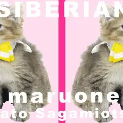 【 サイベリアン 】犬の様に懐っこい性格！猫アレルギーが出づらいって本当？