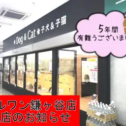 【 お知らせ 】マルワン鎌ヶ谷店閉店のご案内