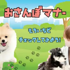 【 お散歩マナー 】愛犬の身は飼い主様が守ろう！いつものお散歩を振り返ってチェック！