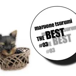 【 鶴見店BEST#03 】わんにゃん最新情報！6/23版「ごはん」其の一