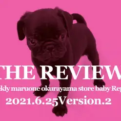 【 大倉山THE REVIEW ＃04 】6/25版わんにゃんこ速報！PART2