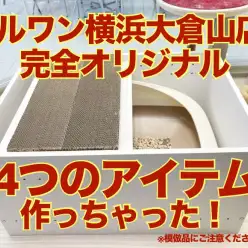 【 大倉山店オリジナル 】猫トイレカスタム・ニャンモック・おもちゃ作りました！