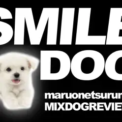 【 MIX（マルチーズ×チワワ） 】奇跡のハイブリッド！その名も「チワチーズ」！