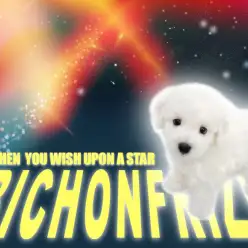 【 ビションフリーゼ 】あなたの色に染まりたい純白の綿あめBOY！