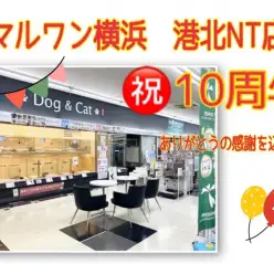 【 イベント情報 】マルワン横浜 港北NT店 皆さまに愛されておかげさまで10周年！