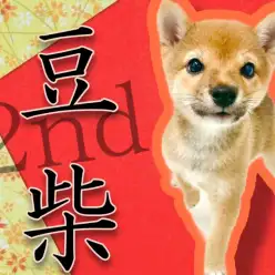 【 豆柴 】豆柴ちゃんの成長記録！豆のセカンドブログ大公開！