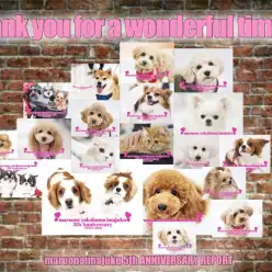 【 周年祭 】23頭のワンニャンが大集合！マルワン横浜今宿店5歳のバースデー！