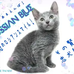 【 ロシアンブルー 】その賢さ忠犬級！愛情深くてとっても静かな甘えんぼ！