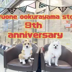 【 周年祭 】祝！横浜大倉山店9歳のバースデー！感謝を込めてイベント開催！