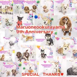 【 9周年祭 】卒業生44頭が集結！マルワン大倉山店9歳の誕生日！
