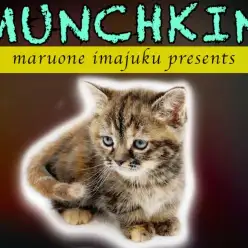 【 マンチカン 】短足で丸顔で大きなハートを背負ったおしゃれで甘えん坊な女の子!