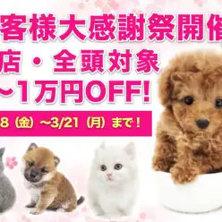 【 お客様大感謝祭開催！ 】ペットシーズン到来！春の大チャンス！