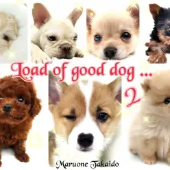 【 子犬をお迎えしたら 】コレでおりこうさんへの道が開けます～お手入れ編～