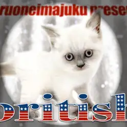 【 ブリティッシュショートヘア 】レアカラーを纏った甘えん坊の丸顔にゃんこ登場！