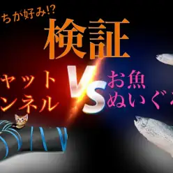 【 4/18大倉山店の日常 】キャットトンネルとお魚ぬいぐるみどっちが好き?