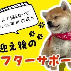 【 マルワン東川口店NMTサポート 】楽しいワンライフをお届け！遠方の方も安心！