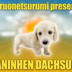 【 カニヘンダックスフント 】大人気のイエローカラーの癒し系女子降臨！