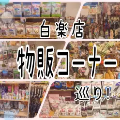 【 商品紹介 】マルチサービスのマルワン横浜白楽店が厳選した抜群のグッズ紹介!